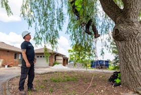 Tree and shrub trimming and maintenance should be part of your fall maintenance checklist. Mike Holmes on location of Holmes Family Rescue. 