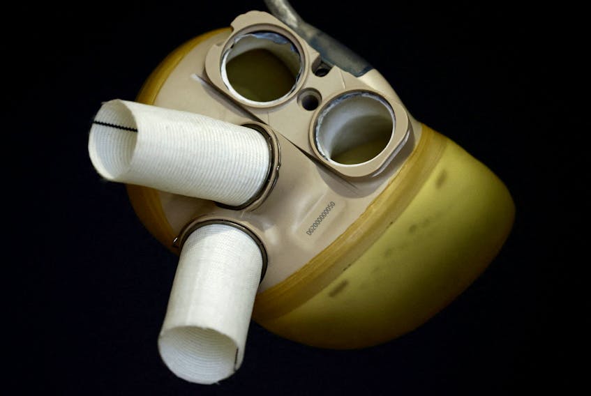 FILE PHOTO: An artificial heart by French manufacturer Carmat is seen during an interview with Reuters in Velizy, near Paris, January 11, 2021.  REUTERS/Christian Hartmann/File Photo