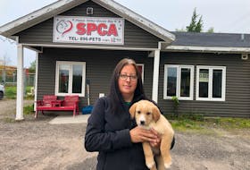 Bonnie Learning, the Happy Valley-Goose Bay SPCA’s vice-president, says more than $60,000 has been raised, including more than $45,000 in help from Nitassinan/Nunatsuak Supplies Inc., since the animal shelter publicly stated it was having financial troubles last week. Contributed