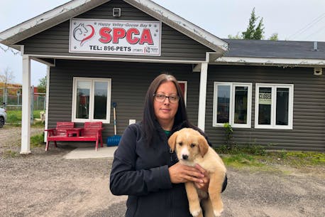 A huge shot in the arm: Labrador company provides more than $45,000 in help to struggling SPCA in Happy Valley-Goose Bay