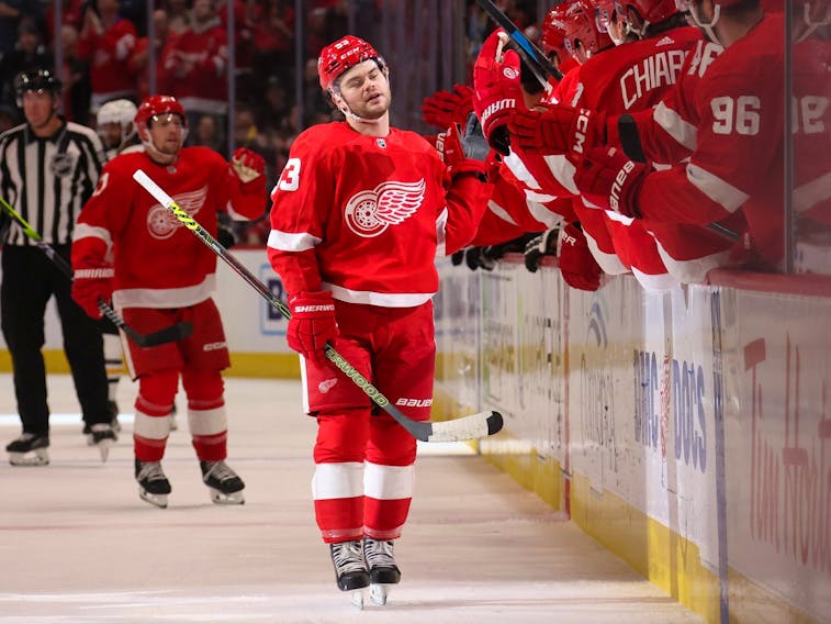 Dylan Larkin of the Detroit Red Wings celebrates with Lucas Raymond News  Photo - Getty Images