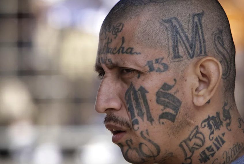  An MS-13 member in El Salvador. Note the tattoos. ASSOCIATED PRESS