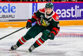 Halifax Mooseheads centre Markus Vidicek scored a key goal against the Val-d'Or Foreurs at the Scotiabank Centre on Saturday to give him four points in two weekend games. - QMJHL