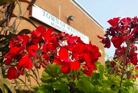 Town of Westville building , looking through some spring flowers. The Town of Westville is holding a special election to fill a seat on council after the sudden death of Coun. Meghan Bragg in July this year. -Contributed