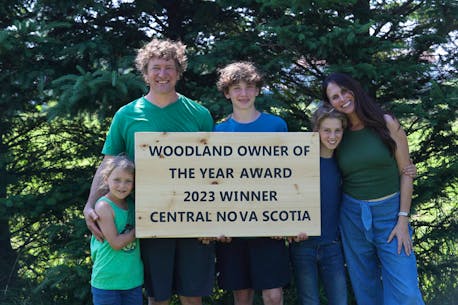 WALK IN THE WOODS: Woodland Owner of the Year winner holding field day Oct. 7 in Old Barns, N.S.