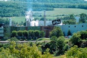  The McCain factory pictured in Florenceville, N.B., in 1999.
