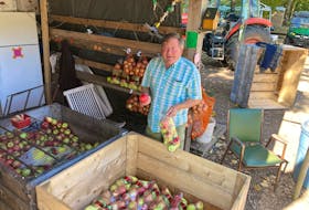 Doug Gates says he's hopeful the remnants of tropical storm Philippe will spare the apple crop when it comes through Nova Scotia this weekend. Growers escaped serious damage from post-tropical storm Lee three weeks ago, but thee is still 25 to 50 per cent of most crops on the trees with picking of later varieties running into early November. - Ian Fairclough