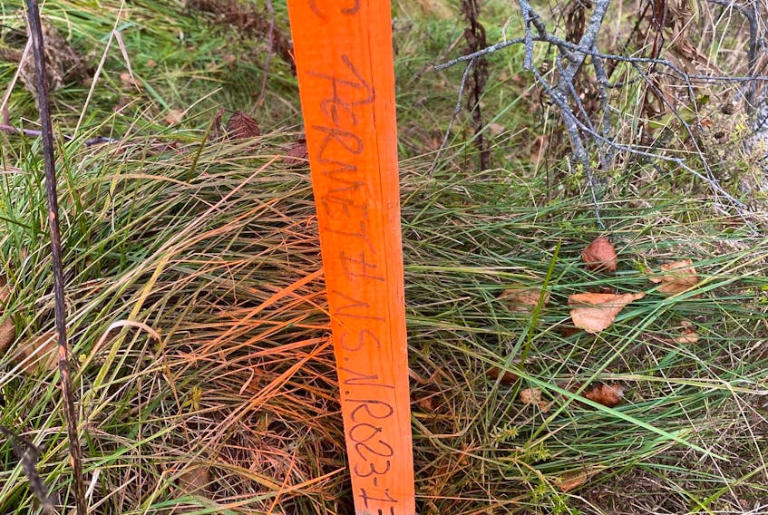 These stakes appeared on the weekend on the Travis Road and Hastings Road in Cumberland County.