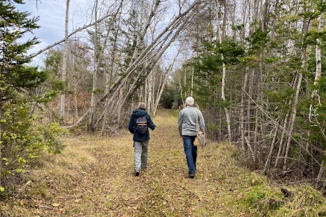 Woodlot Owners Association asks P.E.I. government for support from Fiona