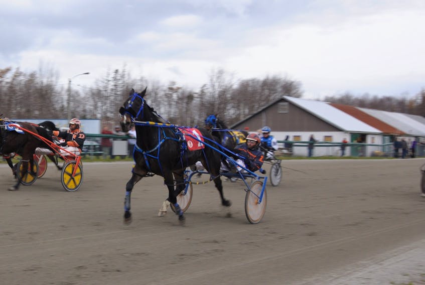 QTS Charlie, #1, and driver Adam Lynk won the Saturday afternoon feature race at Northside Downs in 1:59.2 on the final live card of the 2023 season. CONTRIBUTED/CHRIS ABBASS