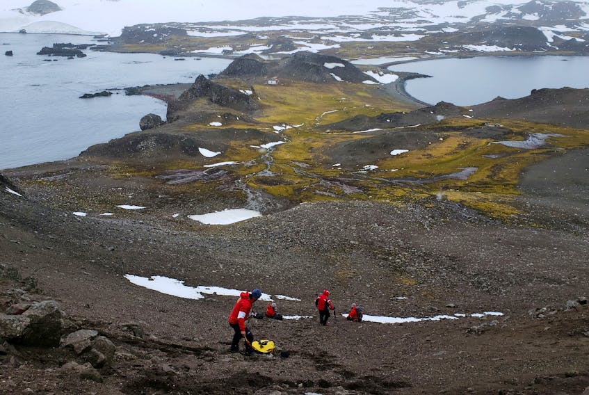 Scientists from the University of Chile collect organic material as they look for a bacteria discovered in Antarctica,  January 13, 2019. Picture taken January 13, 2019. Courtesy of University of Chile/Handout via REUTERS /File Photo
