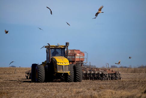 An agricultural worker operates a tractor with a seeder to sow wheat on farmland in Comodoro Py, on the outskirts of Buenos Aires, Argentina June 21, 2022.