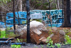 The remains of burned lobster traps sit near scorched trees in a yard on the Roseway Beach Road in Shelburne County. In the background sits undamaged fishing gear. KATHY JOHNSON