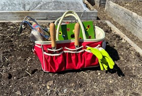 A garden tote bag is a way to stay organized and also holds seed packets, bulbs, gloves, labels, and other assorted items.