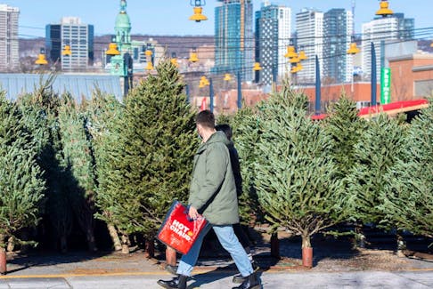 Christmas trees at a market in Montreal.