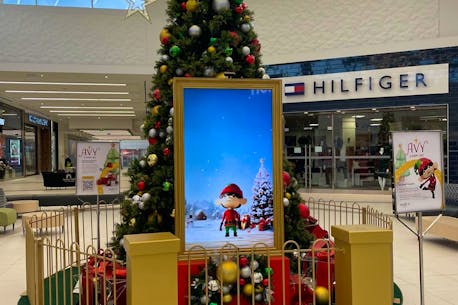 'The legacy of giving lives on': Happy Tree Campaign at Avalon Mall in St. John's has a new face — this time it's an elf