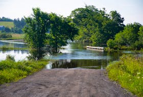 Sedrich Road near Elderbank remains flooded on Tuesday, July 25, 2023 after the torrential rain on the weekend.
Ryan Taplin - The Chronicle Herald