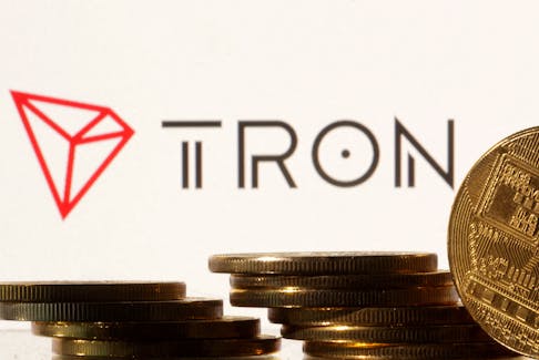 Representations of cryptocurrencies are seen in front of displayed Tron logo in this illustration taken November 10, 2022.