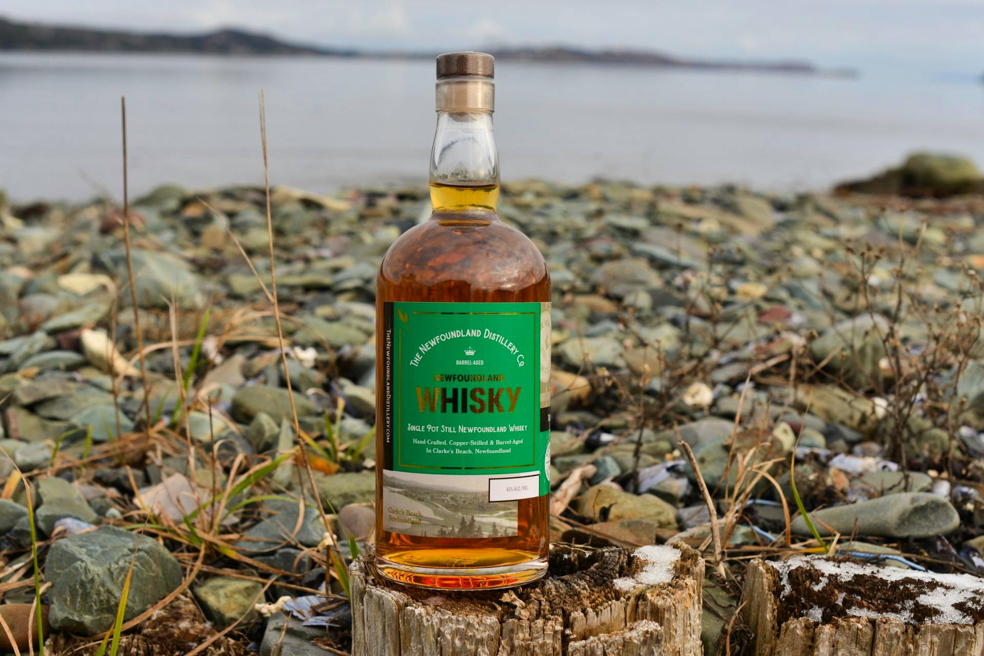 Newfoundland Distillery Company's Chaga rum wins best spiced rum in Canada,  others take silver and bronze medal