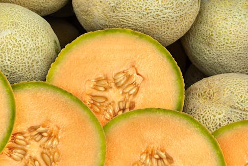 There has been one fatal case and 63 confirmed cases of salmonella infection in Canada linked to a cantaloupe-related outbreak, as reported by the Public Health Agency of Canada (PHAC).