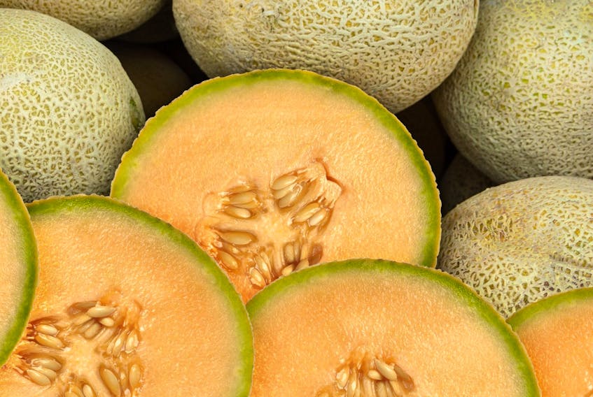 There has been one fatal case and 63 confirmed cases of salmonella infection in Canada linked to a cantaloupe-related outbreak, as reported by the Public Health Agency of Canada (PHAC).