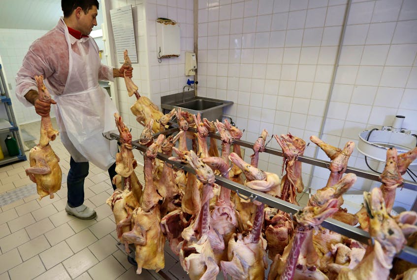 An employee works on a rack of slaughtered ducks at a poultry farm in Eugenie les Bains, France, January 24, 2017, as France scales back preventive slaughtering of ducks to counter bird flu after the culling of 800,000 birds this month helped slow the spread of the disease. 