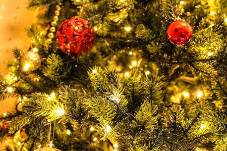 Real or artificial? The Christmas tree debate continues