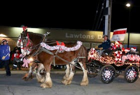 Brian Casey, of Caseydale Farms, made his way along Windsor’s streets in style for the annual Santa Parade of Lights.
