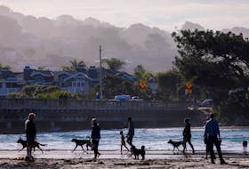 Dog owners bring their animals to the beach during the early morning in Del Mar, California, U.S., November 26, 2023. 