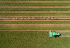 An alfalfa field, a water-intensive crop, is cut by a Triple M Farms employee amid extreme drought conditions in Pinal County near Casa Grande, Arizona, U.S., August 27, 2022. 