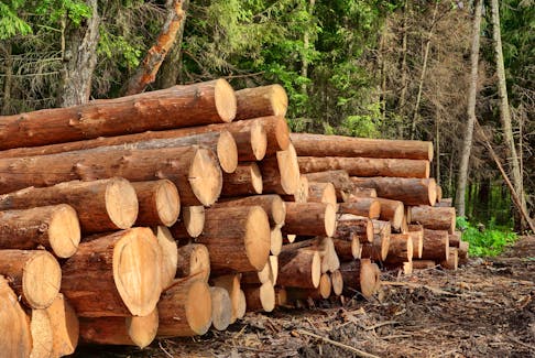 The forest industry in Atlantic Canada is worth $1.7 billion and supports more than 20,000 jobs. - Contributed