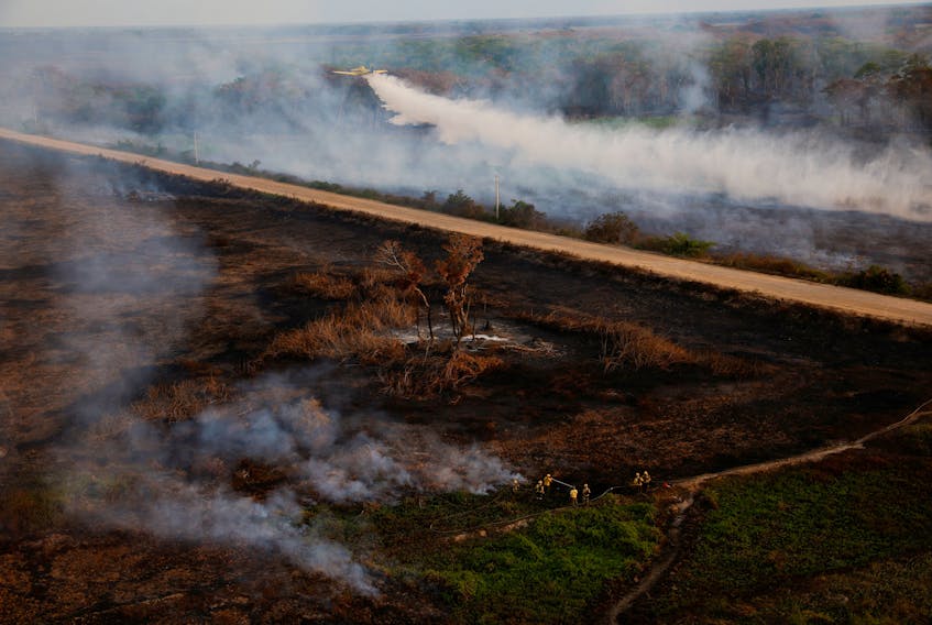 Agents of ICMBio (Chico Mendes Institute for Biodiversity Conservation) and IBAMA (Brazilian Institute for the Environment and Renewable Natural Resources) work to extinguish a fire in the Pantanal, the world's largest wetland, in Pocone, Mato Grosso state, Brazil November 21, 2023.