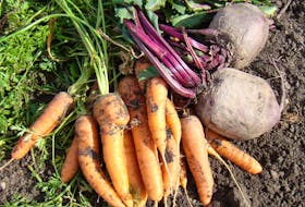 Helen Chesnut explains ways to keep beets and carrots in good, useable condition this winter.