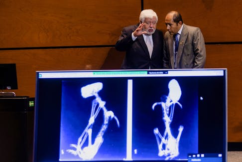 Mexican journalist and UFO enthusiast Jaime Maussan speaks to a person while a screen displays images, as he hosts a second briefing on unidentified flying objects, known as UFOs, at Mexican Congress, in Mexico City, Mexico November 7, 2023.
