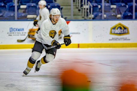 Newfoundland Growlers welcome Worcester Railers, look to get back on track