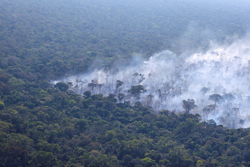 Smoke from a fire rises into the air as trees burn amongst vegetation in Brazil's Amazon rainforest near Humaita, Amazonas state, Brazil, August 3, 2023.