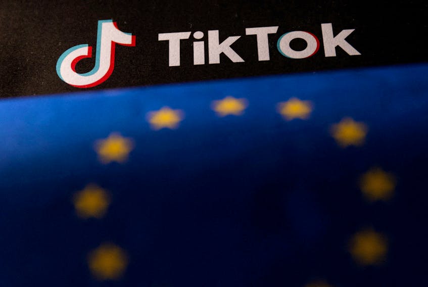 EU flag and TikTok logo are seen in this illustration taken, June 2, 2023.