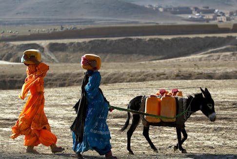 Afghan kochi nomad women carry water containers on their heads as they walk with a donkey outside of Maidan Shar, the capital of Wardak province, September 8, 2013. 