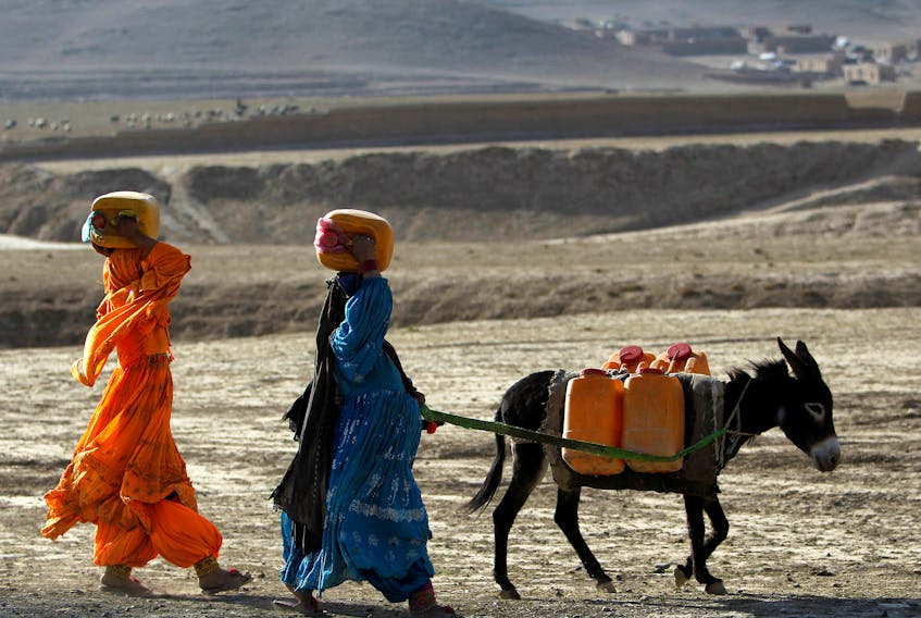 Afghan kochi nomad women carry water containers on their heads as they walk with a donkey outside of Maidan Shar, the capital of Wardak province, September 8, 2013. 