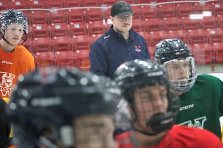 Mullett brings passion for hockey to Valley Wildcats' staff