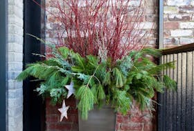 An outdoor Christmas arrangement with dogwood and evergreen branches.