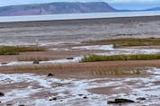  Tide is out at Evangeline Beach as the world famous Bay of Fundy recedes. Check it out twice a day for the full experience. ROB LONGLEY/TORONTO SUN