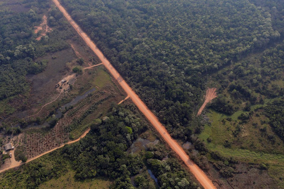 Lawmakers in Brazil pass bill to pave highway through  rainforest