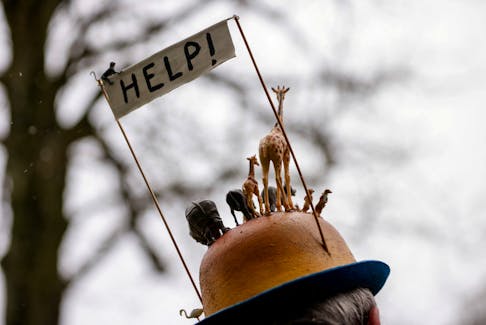 A demonstrator wears a hat with animal figurines, during a climate protest coinciding with COP28 being held in Dubai and ahead of the upcoming Belgian presidency of the Council of the European Union, in Brussels, Belgium, December 3, 2023.
