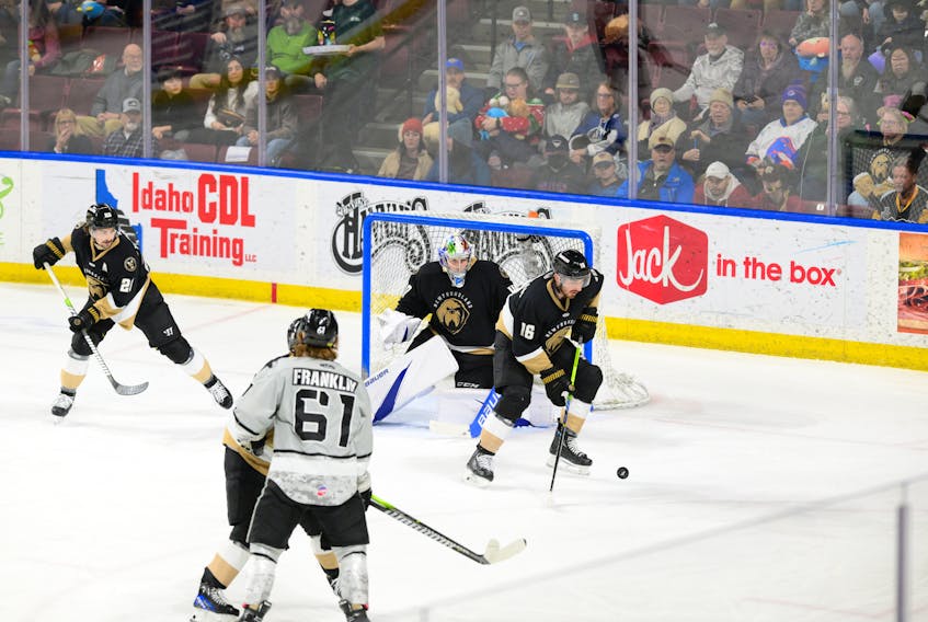 The Newfoundland Growlers return home this week and welcome the Maine Mariners to the Mary Brown’s Centre in St. John’s for a three-game series starting on Dec. 8. Photo courtesy Idaho Steelheads