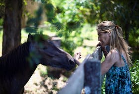 Lorena Melantoni pets a rescued horse at her sanctuary "Let's dream of hope" where mistreated horses that used to pull recycling carts, or were used for sports, have a second chance of life, in La Plata, Buenos Aires, Argentina December 2, 2023.