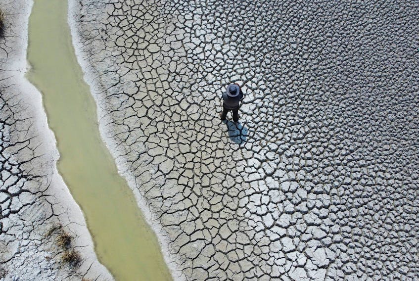 Manuel Flores walks on a dry area that shows the drop in the level of Lake Titicaca, Latin America's largest freshwater basin, as it is edging towards record low levels, on Cojata Island, Bolivia October 26, 2023.