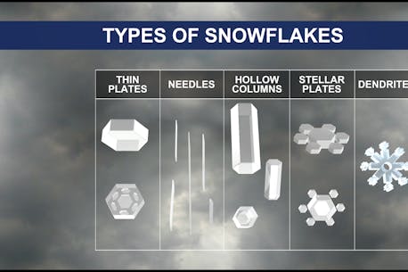 ALLISTER AALDERS: The science behind snowflakes and their shapes