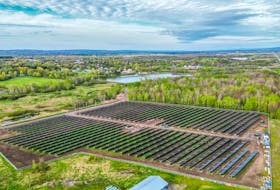 Berwick’s Centennial Community Solar Garden is located south of Highway 101.
Adrian Johnstone/The Valley Eye Photography • Special to the Annapolis Valley Register