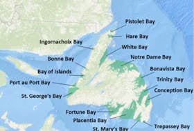 Illustration of specified bays intended to be excluded from the Canada–Newfoundland and Labrador Atlantic Accord Implementation Act for Offshore Renewable Energy.